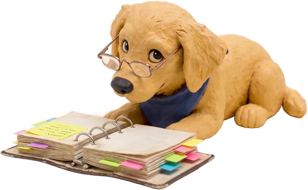 The mascot in reading glasses, reading an old binder full of sticky notes
